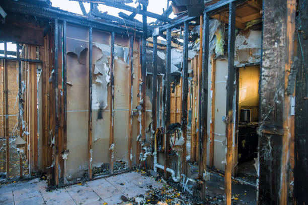 Professional Odor Removal technician working in Deer Park, WI