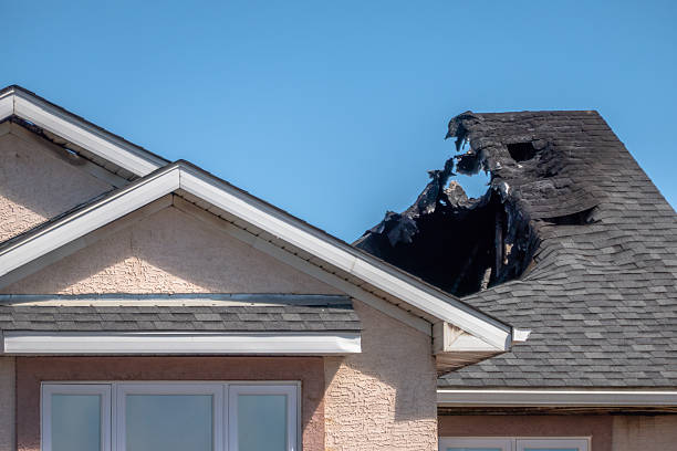 Top rated local Odor Removal specialists in Deer Park, WI